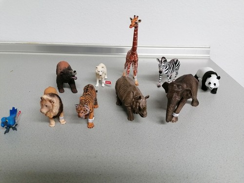 Schleichtiere wild life safari - wild,