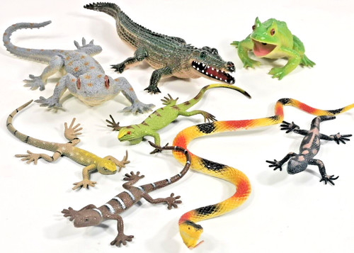 Tolle reptilien - 8,