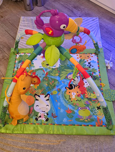 Fisher price rainforest - rainforest, music